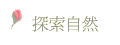 ۵M