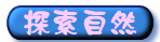 ۵M