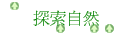۵M