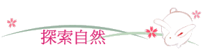 ۵M