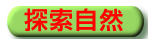 ۵M