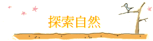۵M