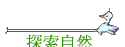 ۵M