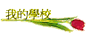 ڪǮ