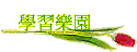 ǲ߼ֶ