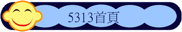 5313