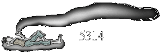 5314