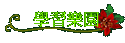 ǲ߼ֶ