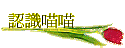 {pp