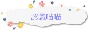 {pp