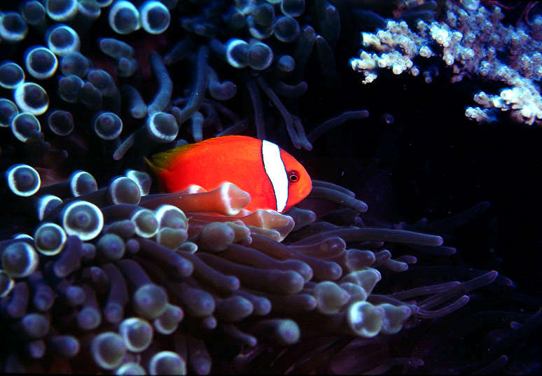 sea_01.jpg