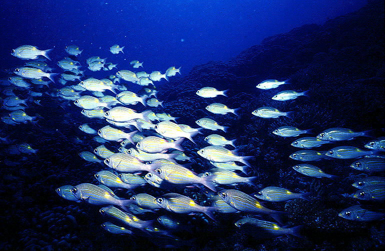sea_03.jpg