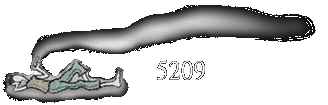 5209