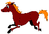 img5.gif