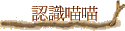 {pp