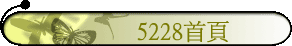 5228