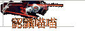 {pp