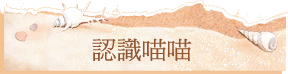 {pp