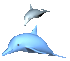 269x194.gif