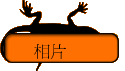 \Ūa
