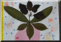 art02.jpg