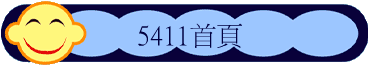 5411