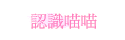 {pp