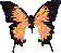 i_butterfly_lcoral.gif