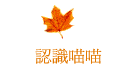 {pp