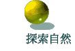 ۵M