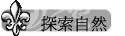 ۵M