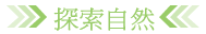 ۵M