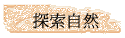 ۵M