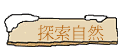 ۵M