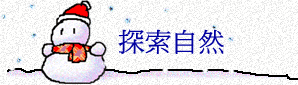۵M