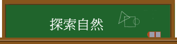 ۵M
