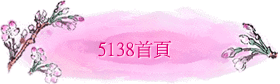 5138