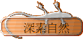 `۵M