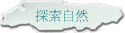 ۵M