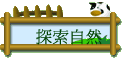 ۵M
