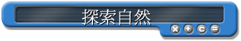 ۵M