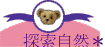 ۵M
