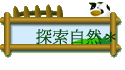 ۵M