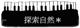 ۵M