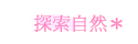 ۵M