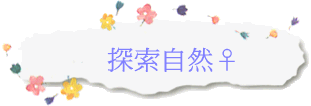 ۵M