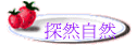 M۵M