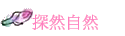 M۵M