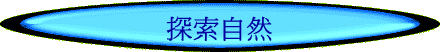 ۵M