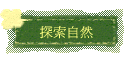 ۵M